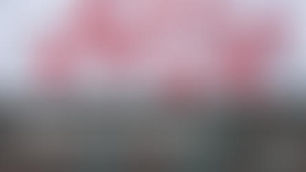 A map with local pins in it. 