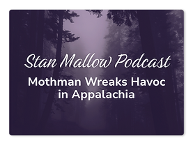Stan Mallow Podcast Tile