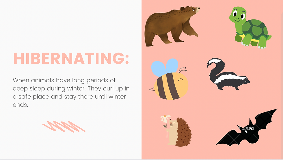 hibernation slide