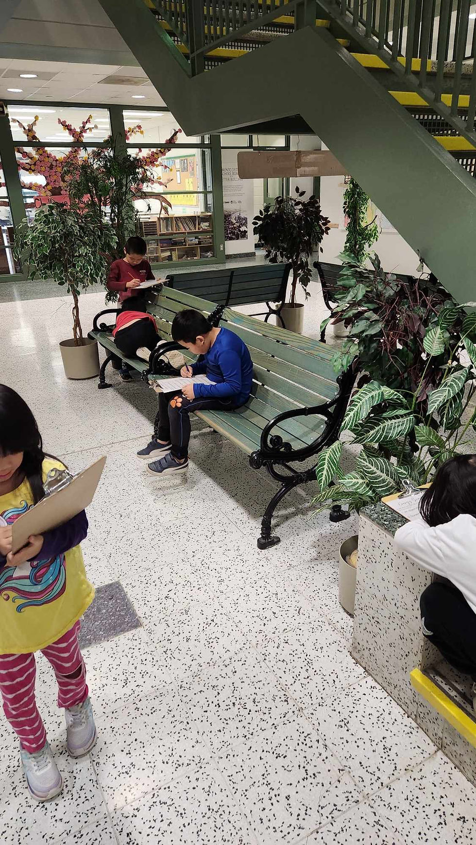 drawing and writing their answers