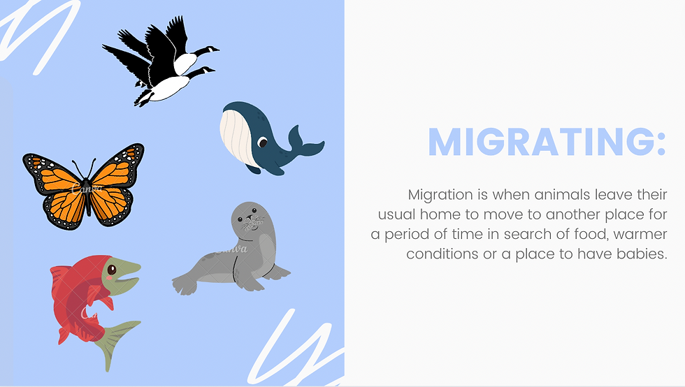 migration slide
