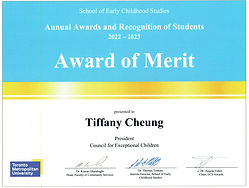 Award of Merit 1_edited_edited.jpg