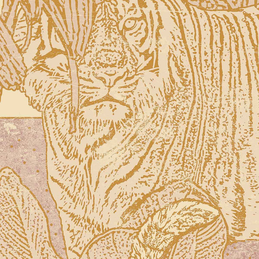 Thumbnail: The Eye Of Tiger