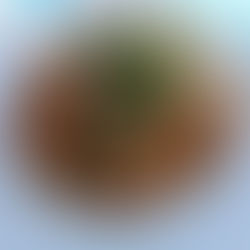 A Journey Through Time: The Evolution of Croatian Cuisine