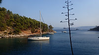 Brac