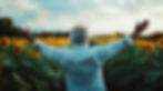 Elderly person in a white shirt raises both arms in a sunflower field at sunset, with a calm, joyful mood.