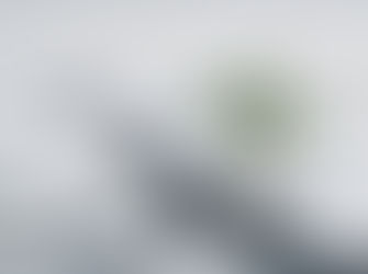 Small green plant emerges from a cracked, dry surface, symbolizing resilience and hope against a blurred, grayish background.