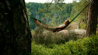 Women laying in a hammock in the forest.