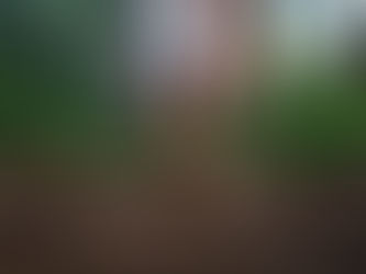 Barefoot person walking on a dirt path in a lush, green forest, wearing a light pink skirt. The mood is peaceful and calm.