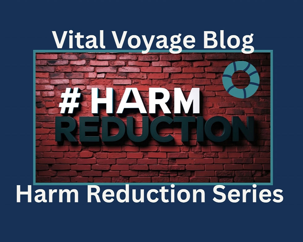 Vital Voyage Blog graphic with #HARM REDUCTION on a red brick wall and Harm Reduction Series on a blue background.