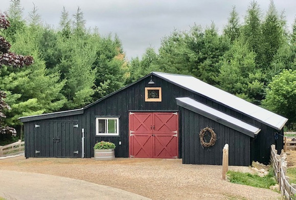 barnday1.jpeg