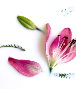 😪 Cet aspect de l'apprentissage est sous-coté...