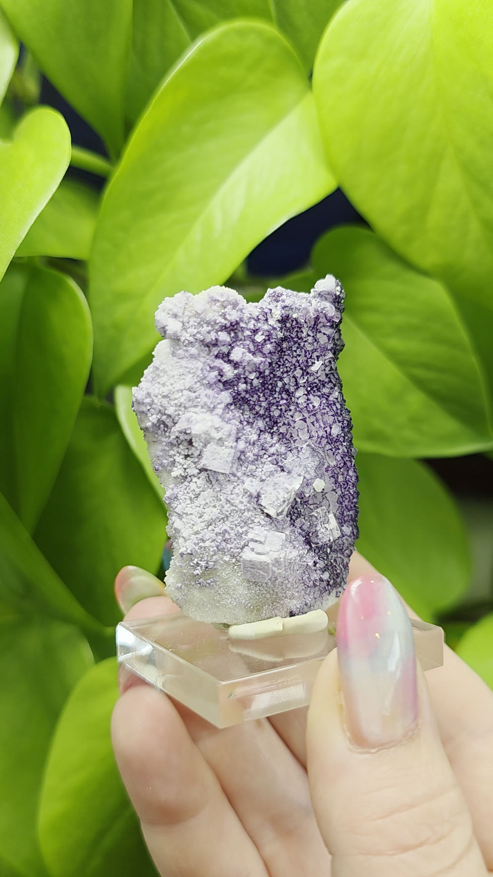 Thumbnail: Purple Pattern Fluorite - Lavender, High Contrast, Defined Cubes
