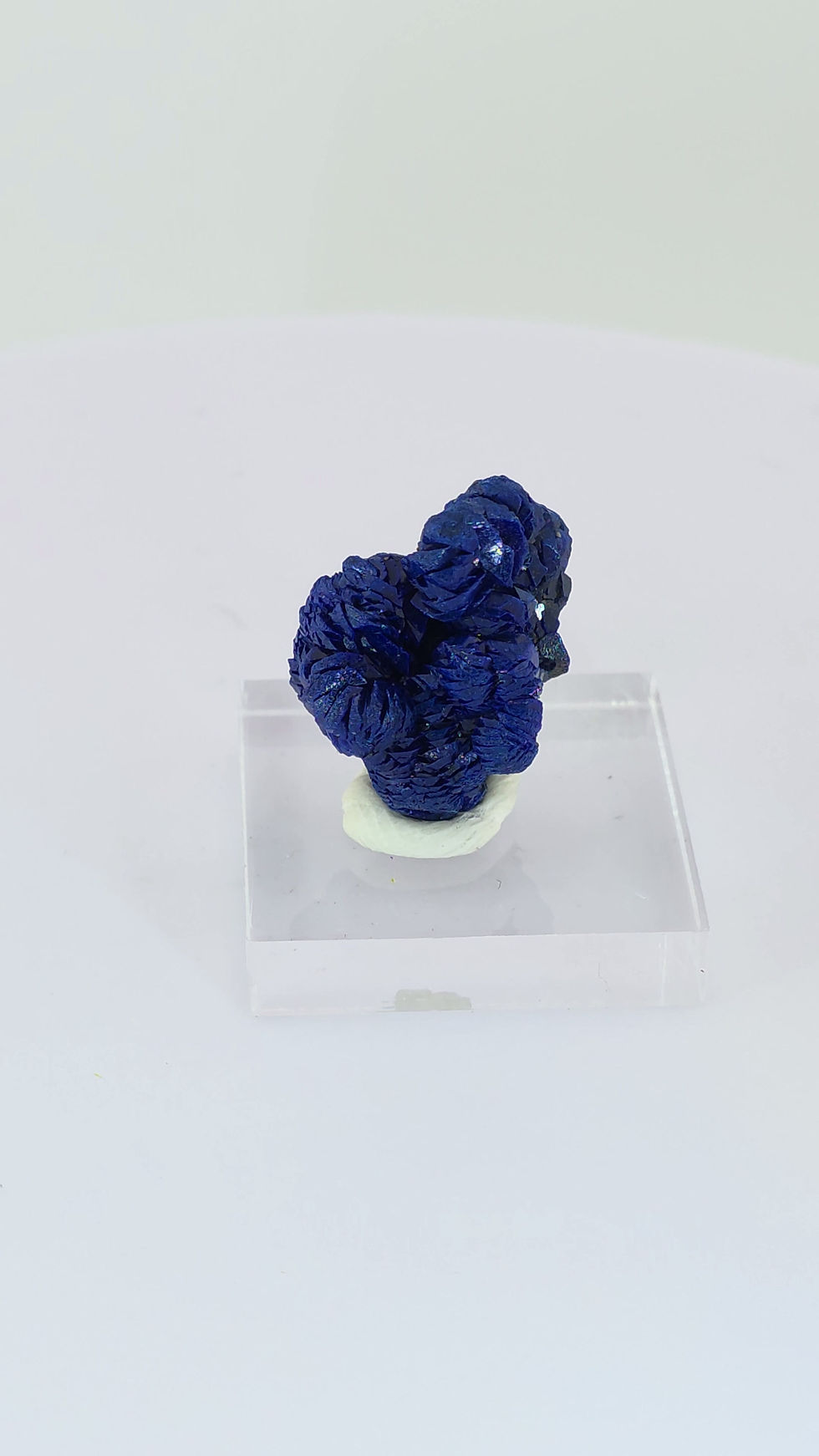 Thumbnail: Azurite from Morocco - High Luster and Well Structured Mineral Specimen