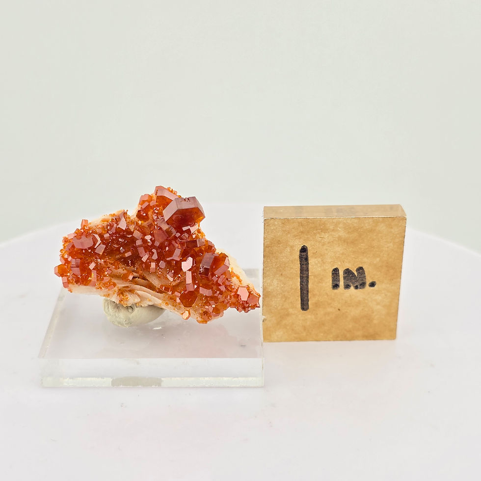 Thumbnail: Vanadinite on Barite - Rich Red Crystal Cluster