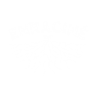 LOGO 2.png