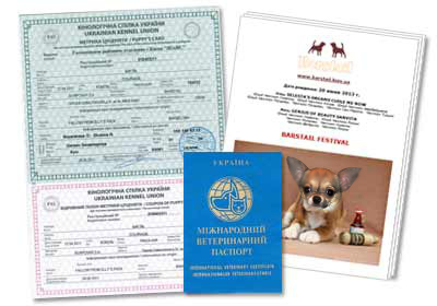 Где Купить Щенкам Документы