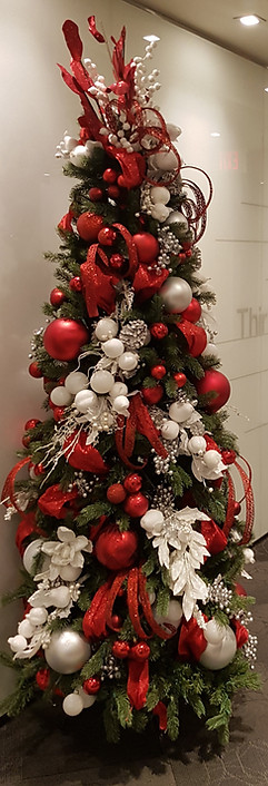 Christmas Tree Calgary