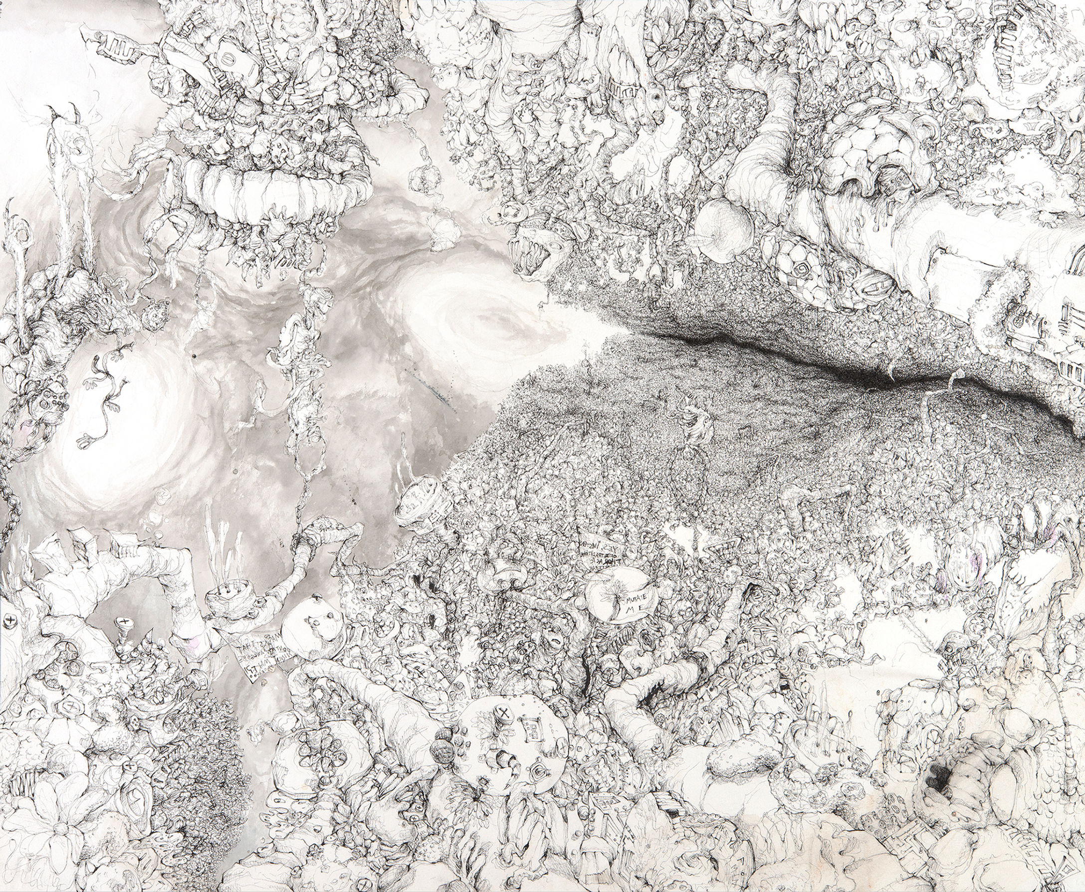 the one where turtles are part spider