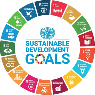 Die 17 Punkte der AGENDA 2030 - nur Verschwörungstheorie?