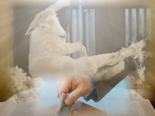 Warum JW.Org untätige Verkündiger wiederbeleben will?