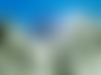 Die Wachtturm-Organisation – Der Leib Christi?