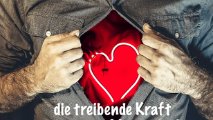 Zeugen Jehovas – „Wer auf sein Herz vertraut, ist DUMM?“