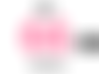 「求人66日間プログラム」について