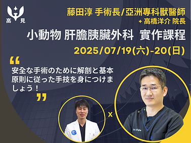 藤田淳 肝膽胰 Wix縮圖 (1).png