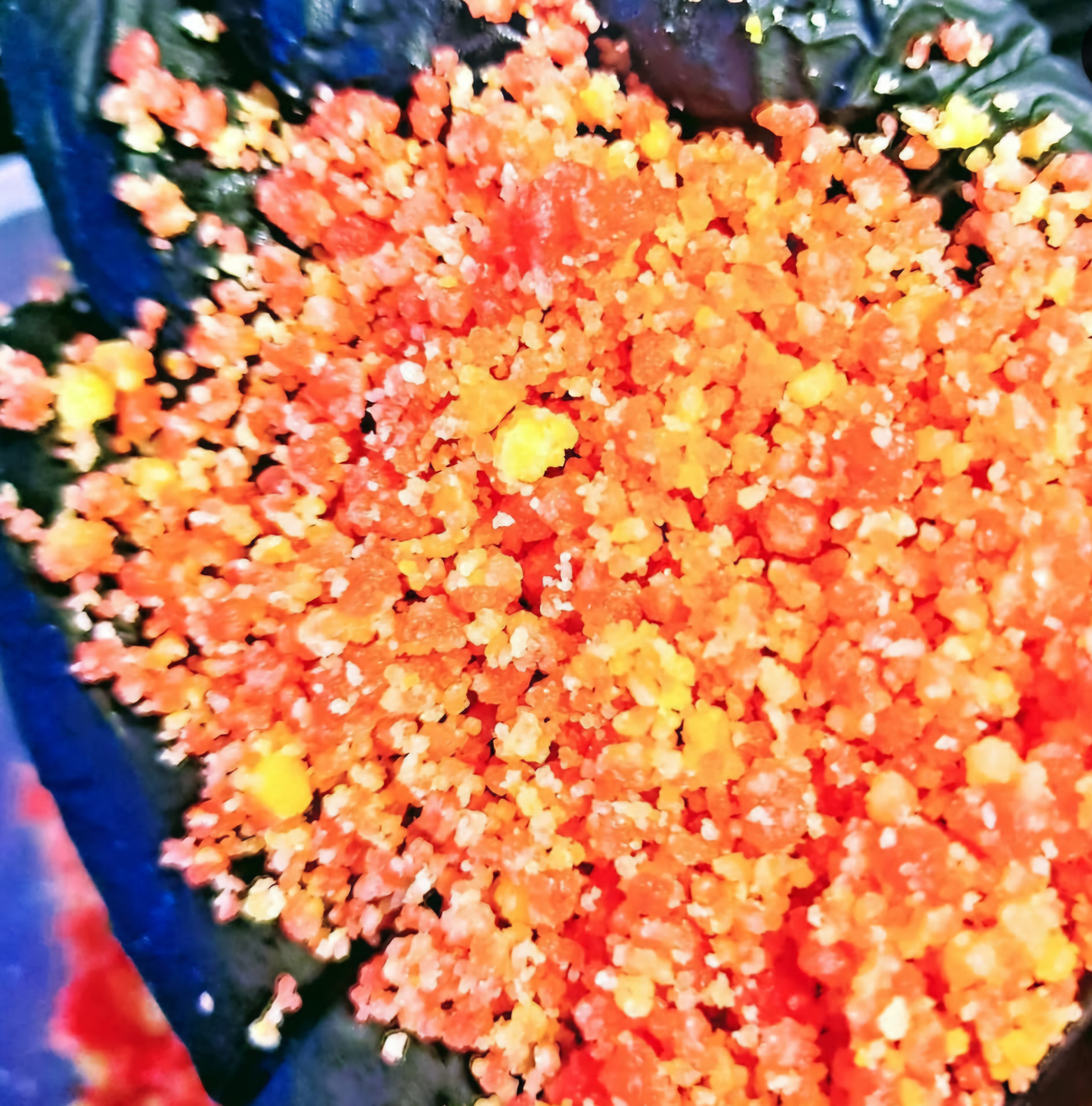 Arranged Food and Objects