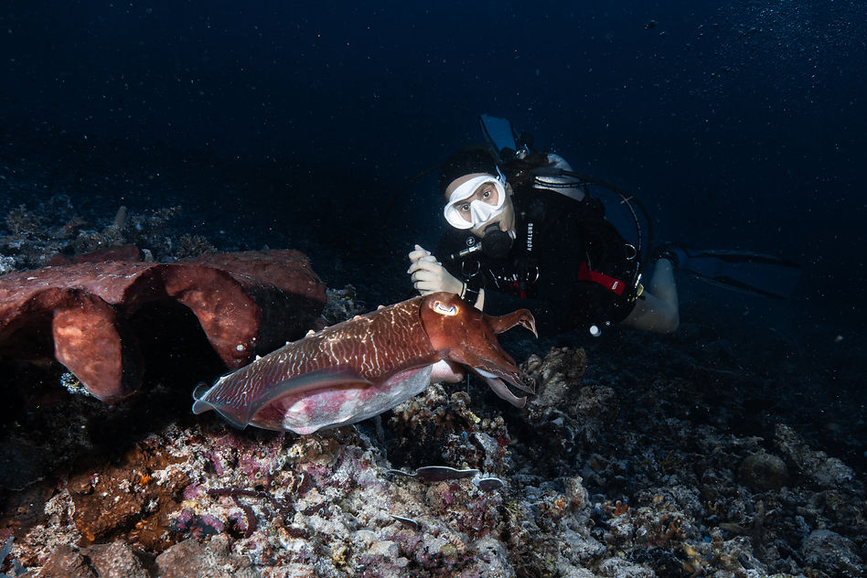 OCK_20240518_Gili Meno_Indonesia_8876.jpg