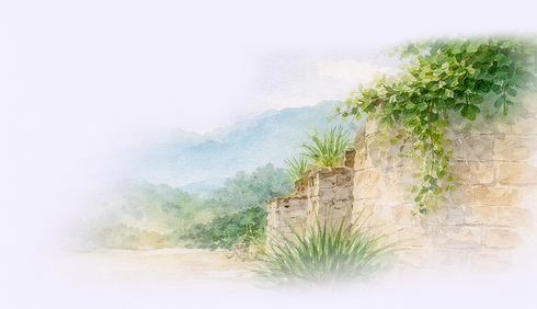 approach ciravolo6.png