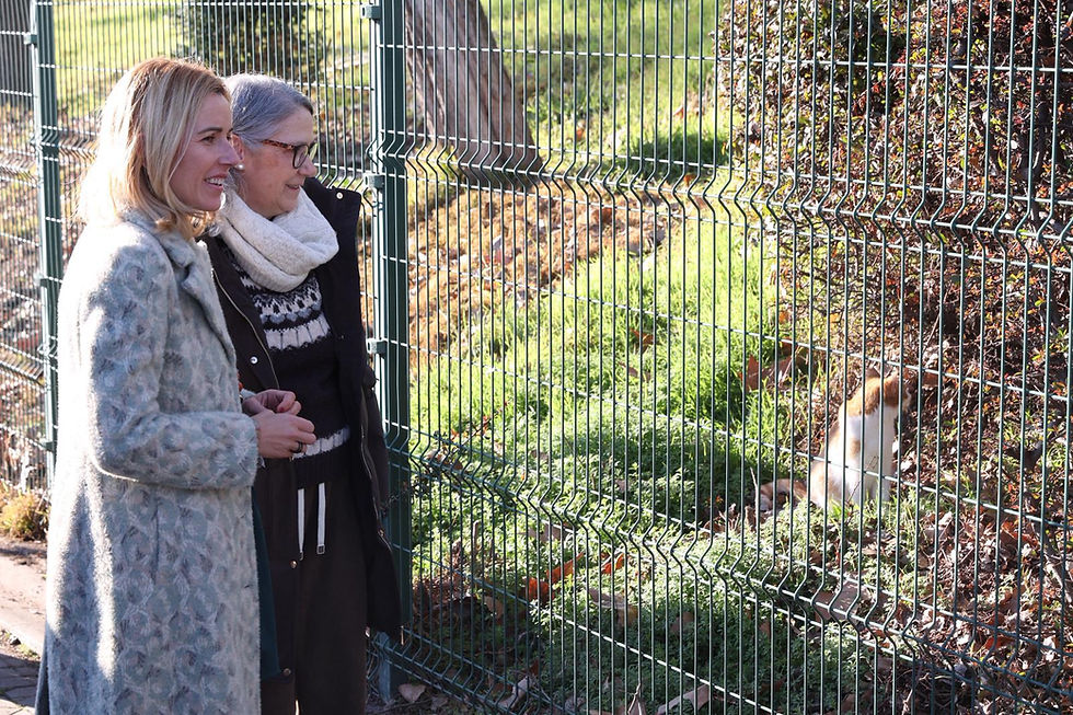 Abre la primera área felina en Alcobendas