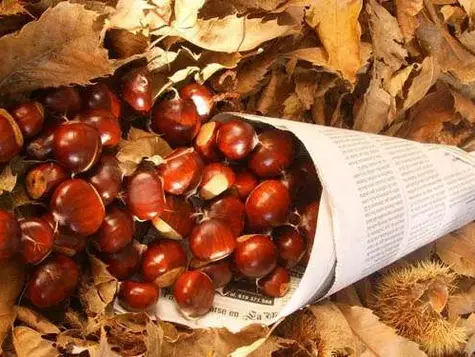 Alcobendas celebrará la Fiesta del Magosto con reparto de castañas asadas y folclore gallego