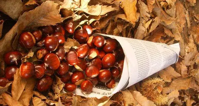 Alcobendas celebrará la Fiesta del Magosto con reparto de castañas asadas y folclore gallego