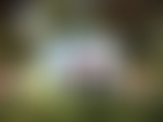 Alcobendas lanza 3.000 plazas de verano y estrena campamento náutico en agosto