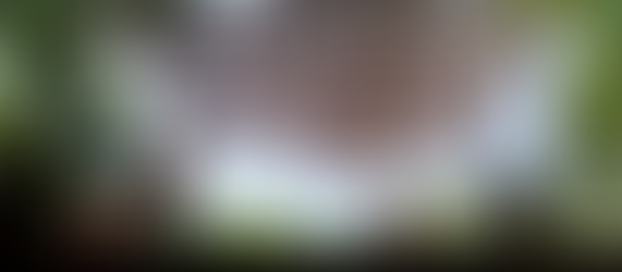 Aprobada la moción para la creación de refugios climáticos en Alcobendas