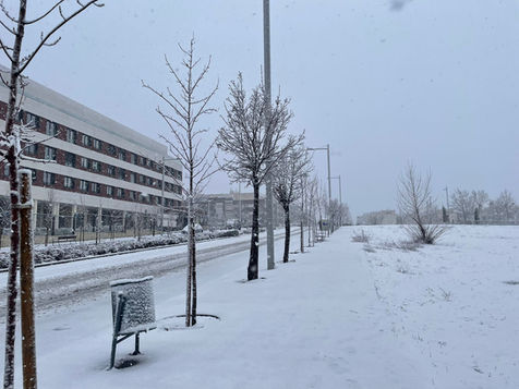 La borrasca Kristin tiñe de blanco Alcobendas