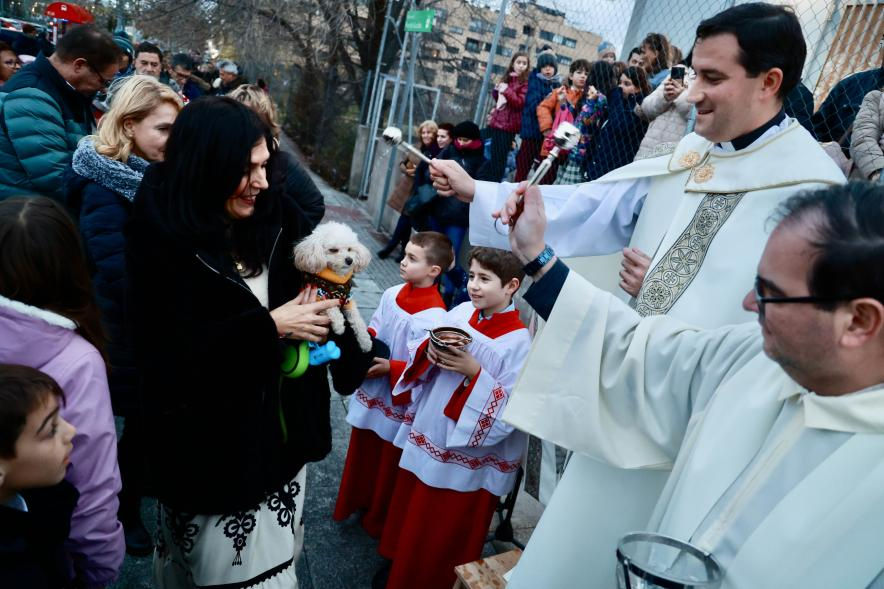 Vuelve San Antón para bendecir a nuestros animales