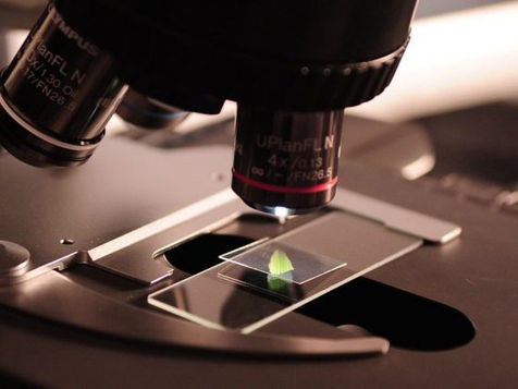 Alcobendas celebra la XXV Semana de la Ciencia con talleres gratuitos del 7 al 9 de noviembre