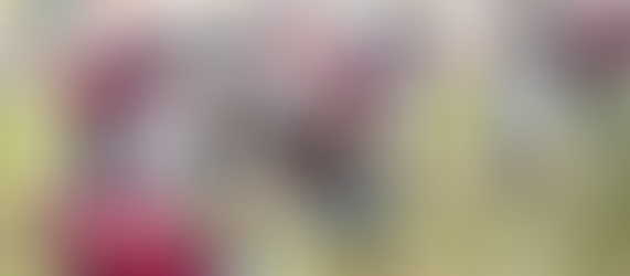 Los Royal Oaks Knights de Alcobendas se coronan campeones de España de fútbol americano