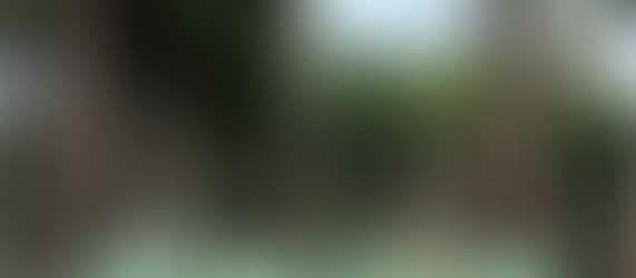 Alcobendas organiza una jornada de limpieza y concienciación en el Monte de Valdelatas