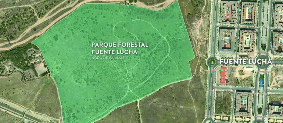 El Ayuntamiento adjudica la redacción del proyecto del Parque Forestal por 232.000 euros 