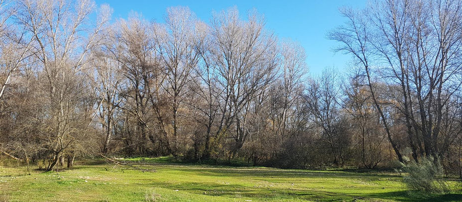 La calidad de aire de Alcobendas es buena