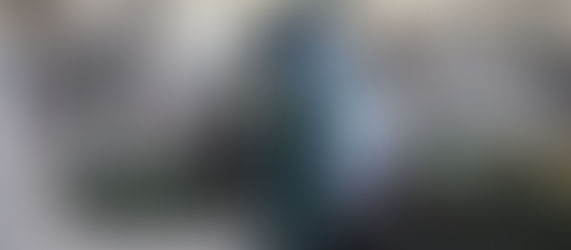 VOX pedirá en el pleno que no se cobre a los vecinos por las tarjetas de la zona ORA