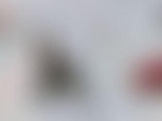 Más Madrid exige recuperar el rocódromo de Valdelasfuentes frente a la "política de fotos" del Gobierno