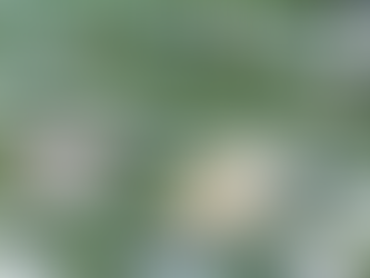 La justicia admite a trámite el recurso contra el desarrollo urbanístico de Los Carriles