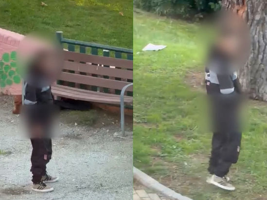 Vecinos denuncian la presencia de un hombre defecando en un parque de Alcobendas