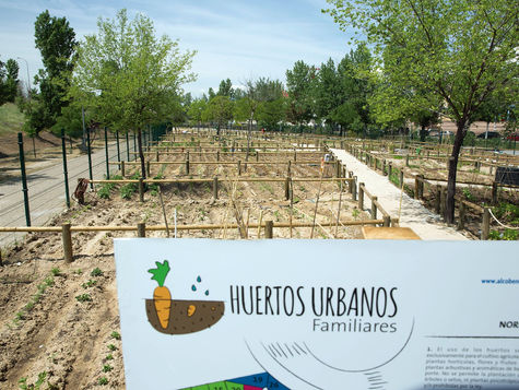 La alcaldesa entrega 34 llaves de huertos urbanos a vecinos de Alcobendas