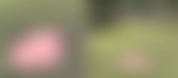 Vox Alcobendas denuncia el "abandono" de las pistas deportivas del parque Castilla-La Mancha